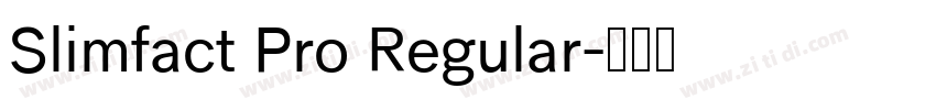 Slimfact Pro Regular字体转换